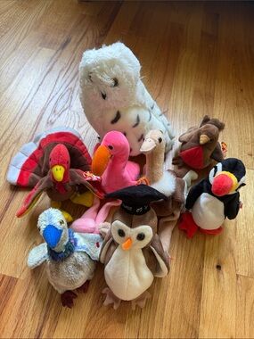 TY Beanie Babies Bird Bundle